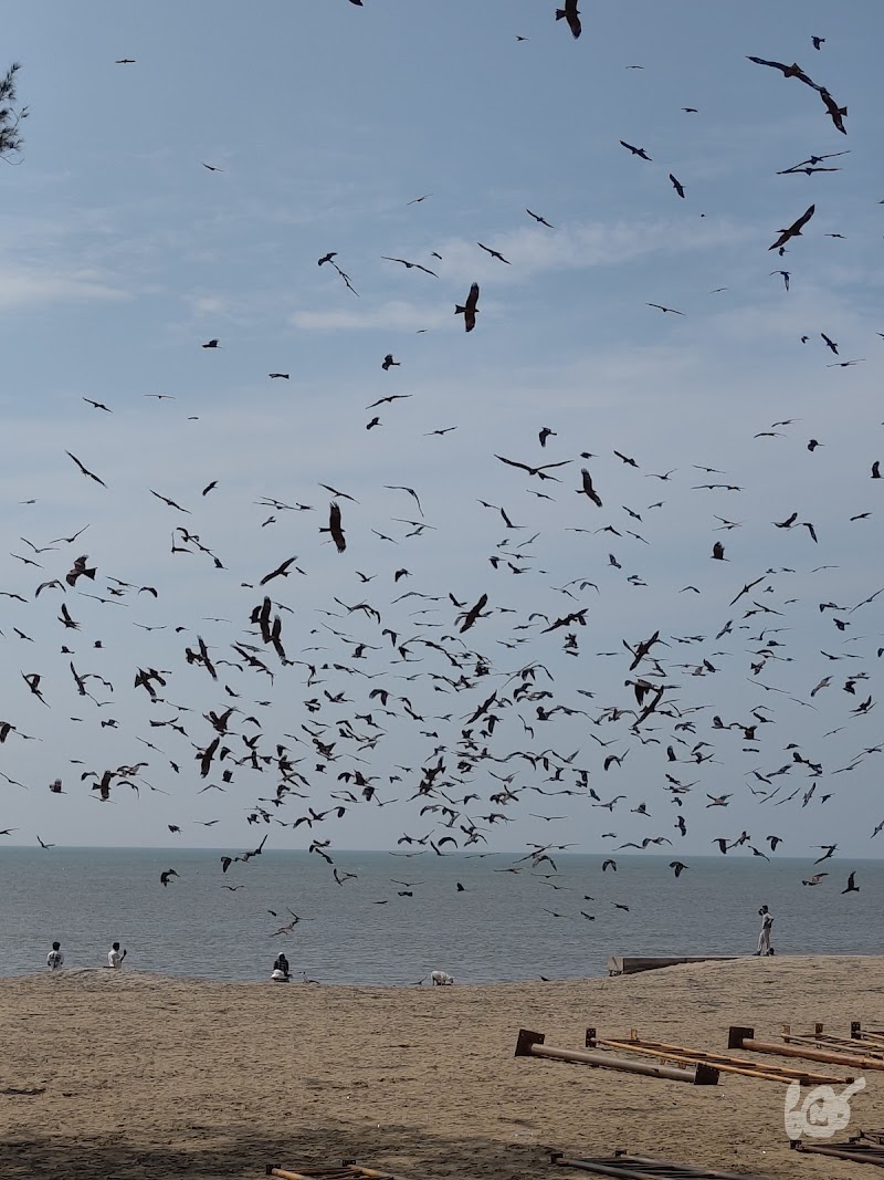 Calicut Beach - Calicut Beach, 7Q49+RJ2, Vellayil, Kozhikode, Kerala 673032, India