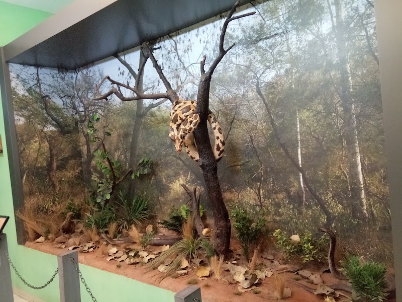 Nature Interpretation Centre, Sukhna Lake - Nature Interpretation Centre, Sukhna Lake PRQJ+QCR, Bhagwanpura, Chandigarh, 160001, India