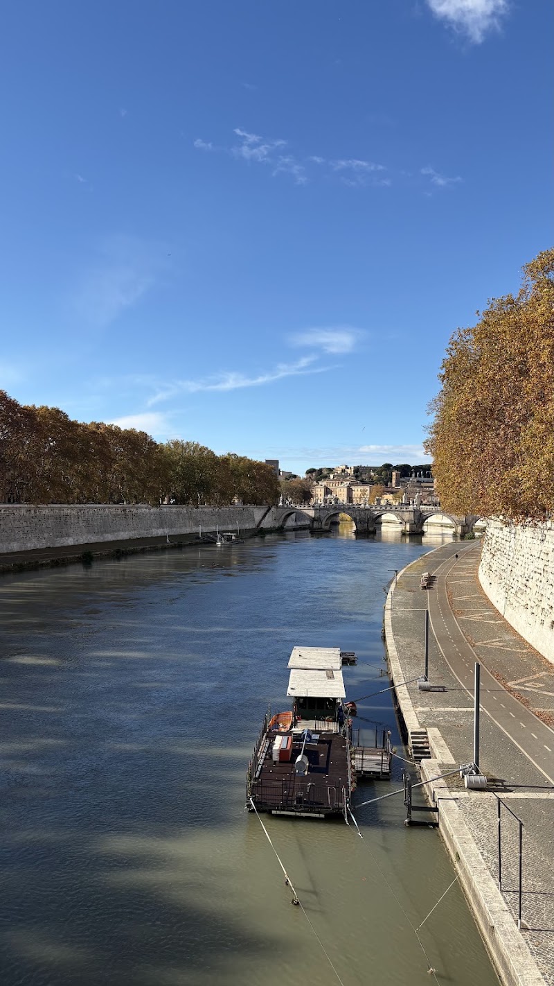 River Tiber - River Tiber, Italy