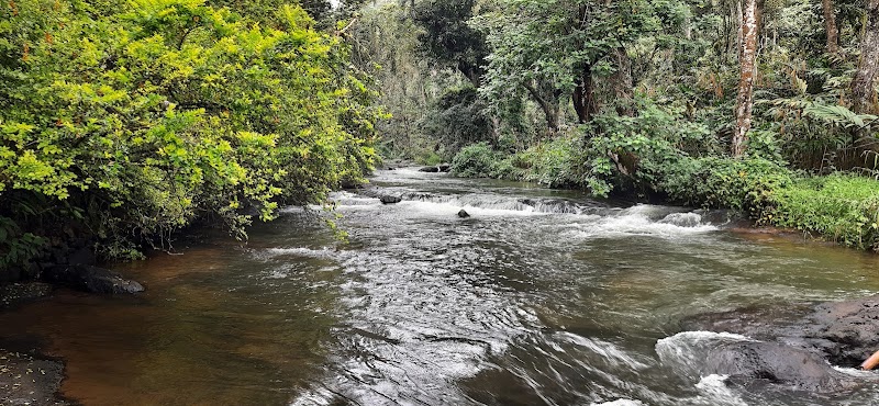 The spice garden (Umesh) - The spice garden (Umesh), Munnar - Kumily Hwy, Pooppara, Keralam 685619, India