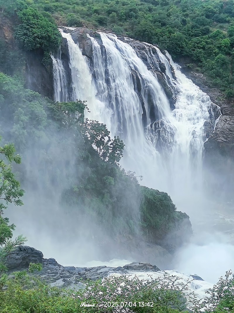 Cauvery Split Katte - Cauvery Split Katte, 571440, Cauvery River Road, Attur Forest, Sathegala, Karnataka 571440, India