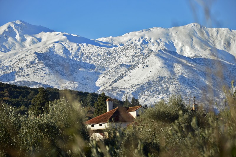 Vamos Traditional Guesthouses Chania - Vamos Traditional Guesthouses Chania, Vamos 730 08, Greece