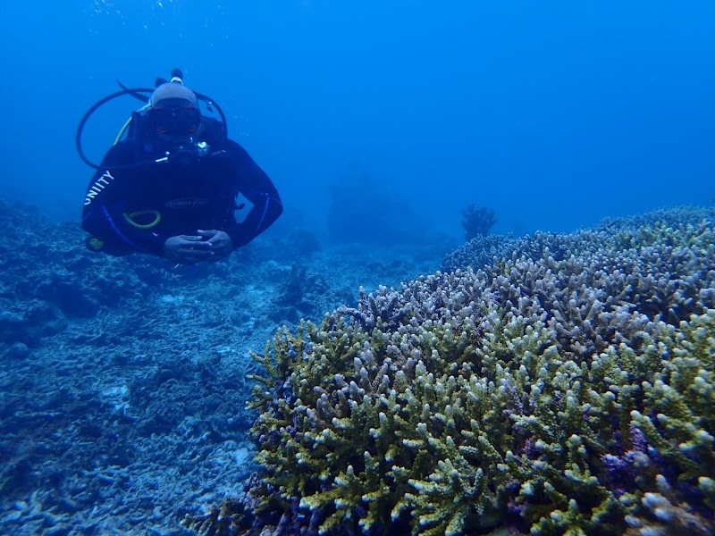 MTD Diveshop - MTD Diveshop Malapascua Island, Daanbantayan, 6013 Cebu, Philippines