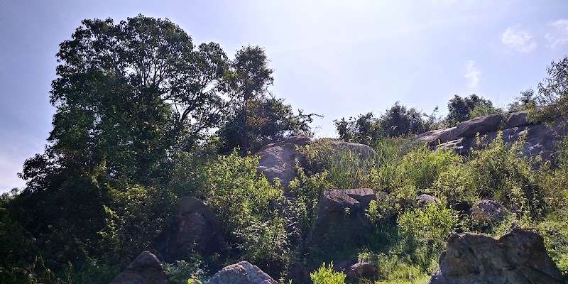 Turahalli - Turahalli Turahalli, Bengaluru, Karnataka 560109, India