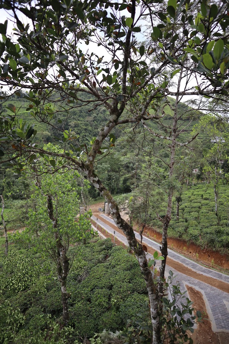 lovedales - lovedales Vagamon, Keralam 685503, India