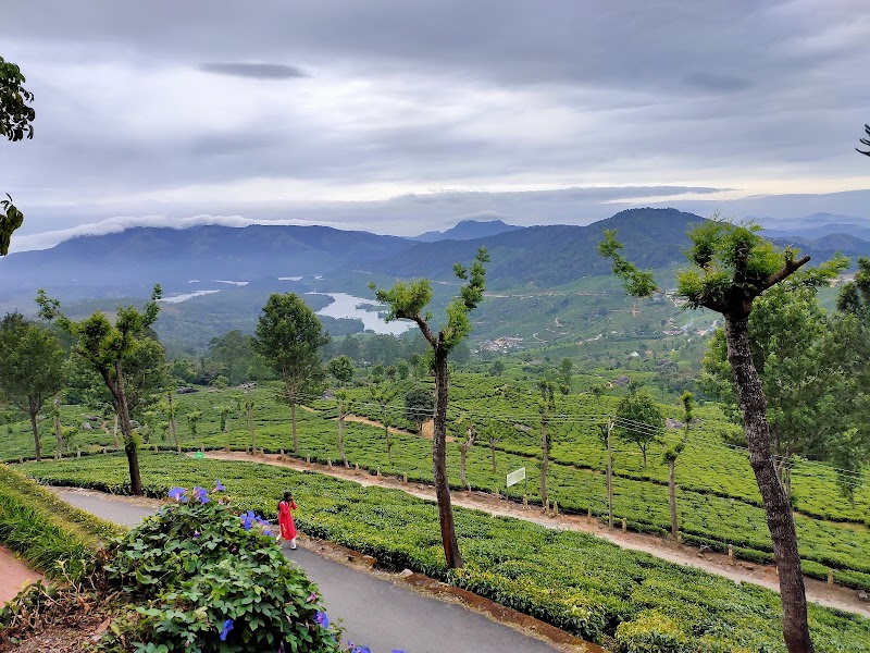 Club Mahindra Resort - Mount Serene, Kerala - Club Mahindra Resort - Mount Serene, Kerala Chinnakanal Suryanelli Rd, Munnar, Kerala 685613, India