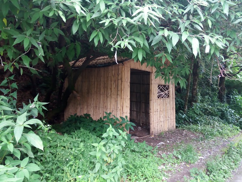 Ayarpatta - Ayarpatta, Nainital, Uttarakhand 263001, India
