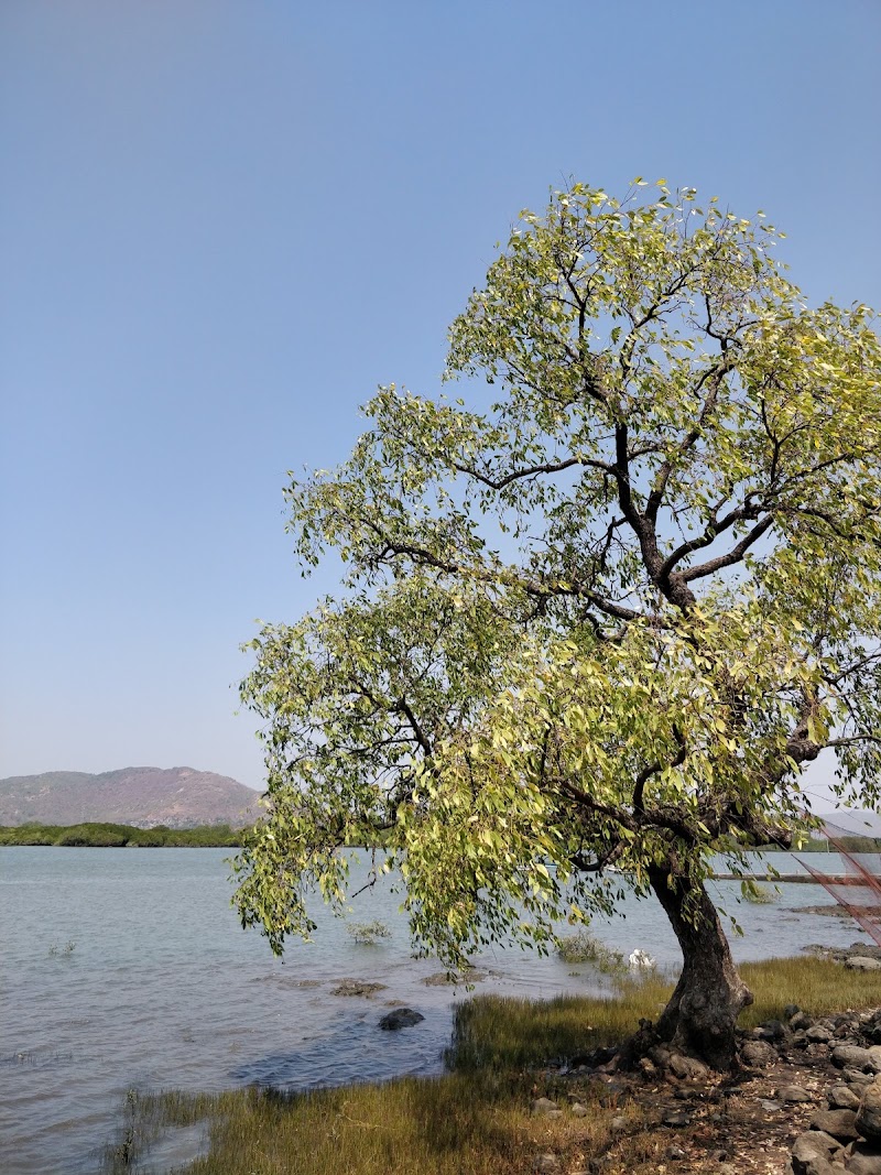 Kalinje - Kalinje Kalinje, Maharashtra 402110, India