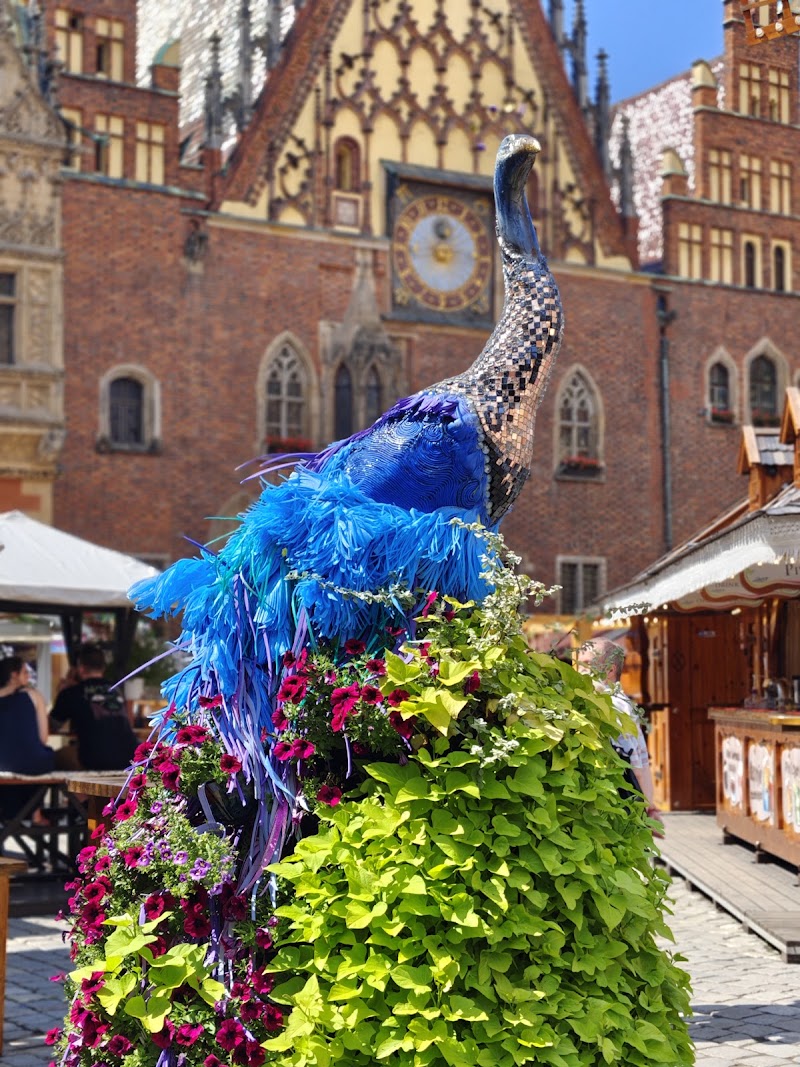 Rynek Wrocławski - Rynek Wrocławski Rynek we Wrocławiu, 50-529 Wrocław, Poland