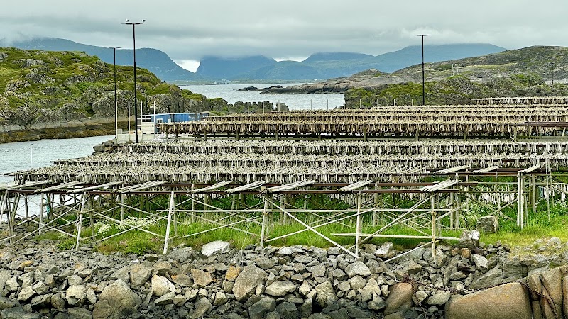 Lofoten Seafood Center - Lofoten Seafood Center, Mortsundveien 379, 8370 Leknes, Norway