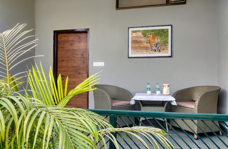 Machli A Wilderness Home - Machli A Wilderness Home, Ranthambore national park Khilchipur, Sawai Madhopur, Rajasthan 322001, India