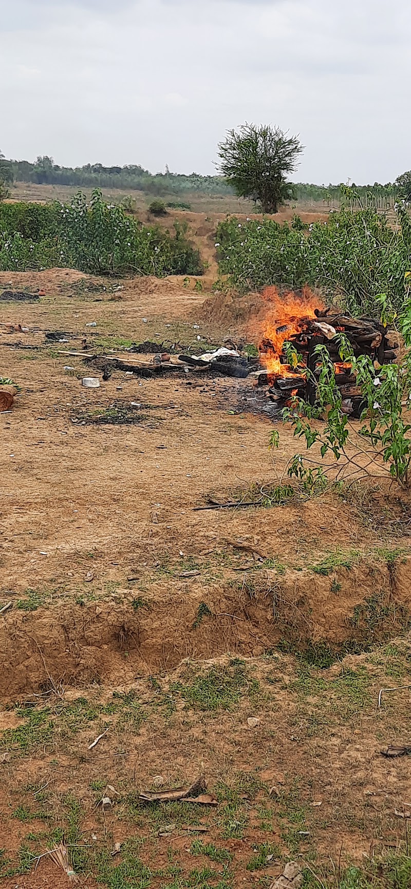 Swarga dwar - Swarga dwar, WW8F+XHG, Turudehi, Odisha 764088, India