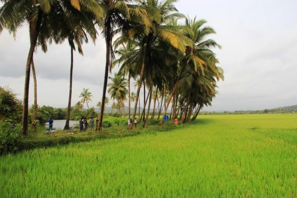 The Local Beat, Goa - The Local Beat, Goa Campal, Panaji, Goa 403001, India