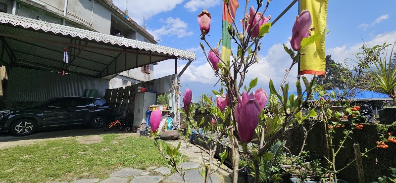 The Bliss Homestay - The Bliss Homestay Penlong, Gangtok, Sikkim 737103, India