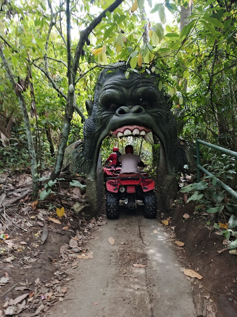 Ubud ATV Quad - Ubud ATV Quad Jl. Raya Singapadu No.10, Singapadu Kaler, Kec. Sukawati, Kabupaten Gianyar, Bali 80571, Indonesia