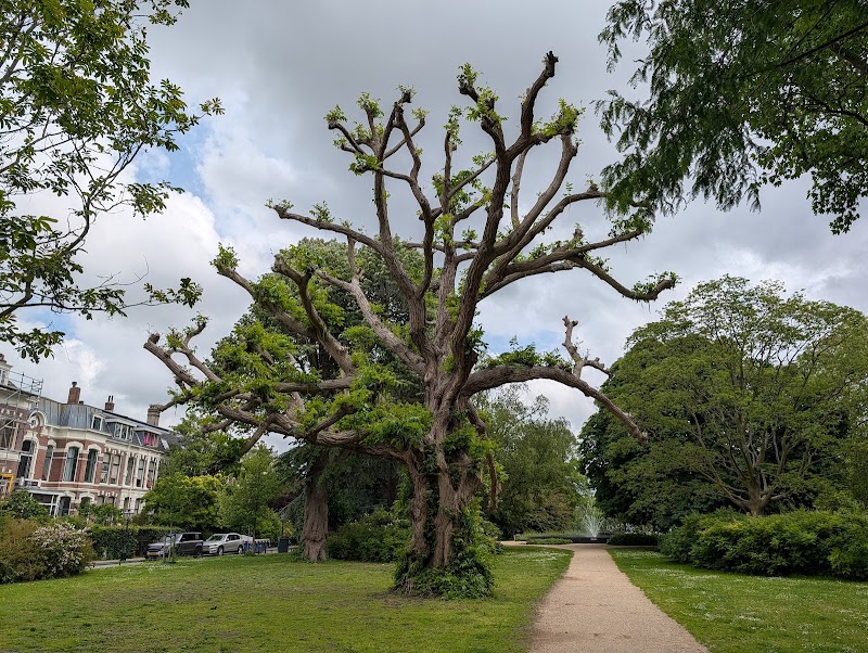 Het Plantsoen - Het Plantsoen, Plantsoen 41, 2311 KH Leiden, Netherlands