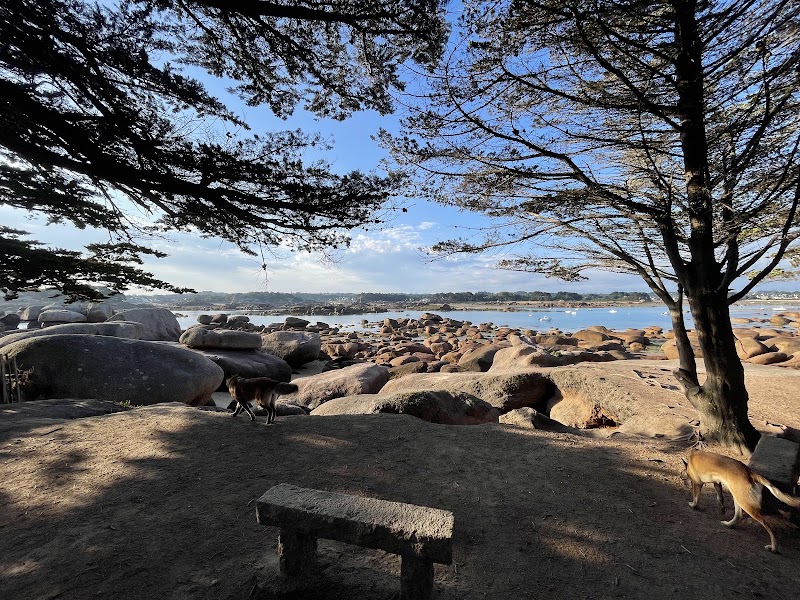 Île Renote - Île Renote, Trégastel, France