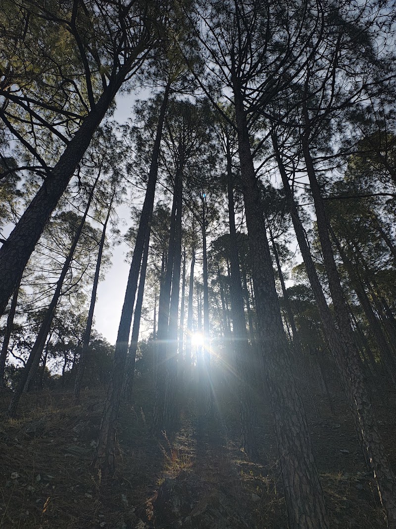 Dunikhal Waterfall - Dunikhal Waterfall CF5C+QR, Naina Range, Uttarakhand 263132, India