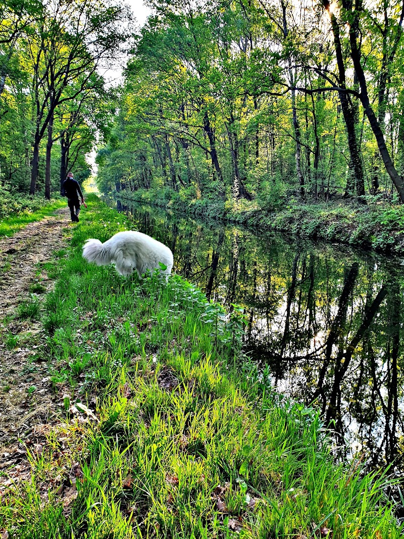 Beringe - Beringe, Netherlands