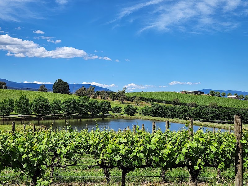 Yarrawood Estate - Yarrawood Estate, 1275 Melba Hwy, Yarra Glen VIC 3775, Australia