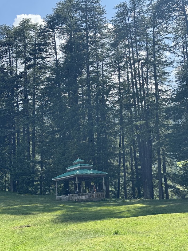 Sainj Valley - Sainj Valley Q83F+WWP, Dusharh, Kanaun, Himachal Pradesh 175134, India