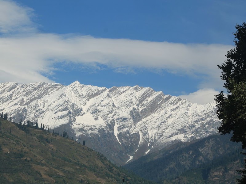 Ashtvinayak Travels - Ashtvinayak Travels, Under Hotel Snow Mountain, opposite to Tibetan monastery, Siyal, Manali, Himachal Pradesh 175131, India