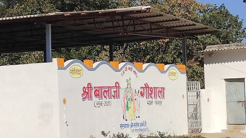 Sri Balaji Gau Seva Aashram - Sri Balaji Gau Seva Aashram, CR37+Q4, Korba, Chhattisgarh 495683, India