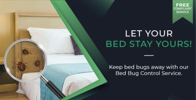 Bed bug control services - Bed bug control services, 329/9, 1st Main Rd, Chandra Reddy Layout, Teachers Colony, Koramangala, Bengaluru, Karnataka 560102, India