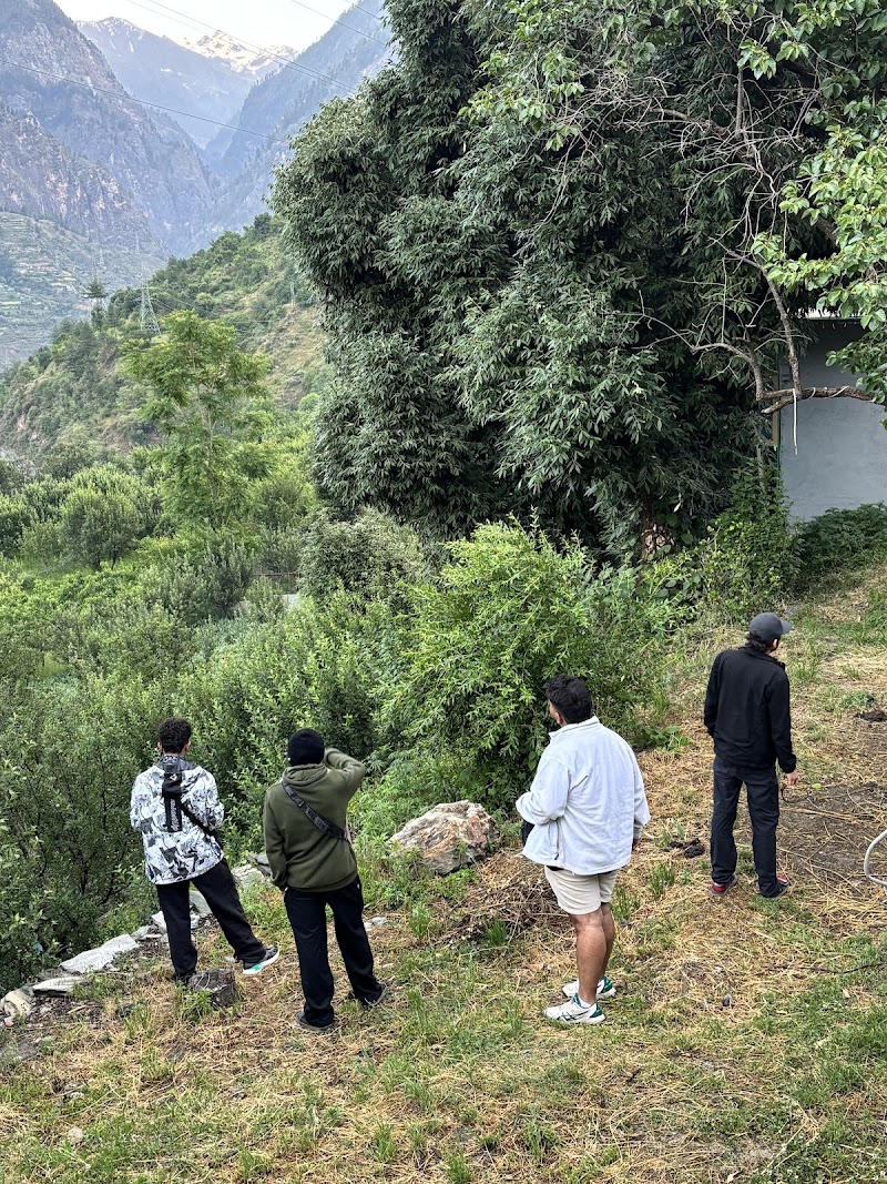 Mandala House & Cafe - Mandala House & Cafe, X6MH+J66, bhag, Bradha, Jari, Himachal Pradesh 175105, India