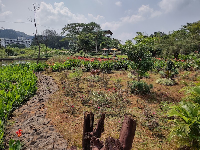 Rose Garden - Rose Garden HQH2+V4C, Saputara, Gujarat 394720, India