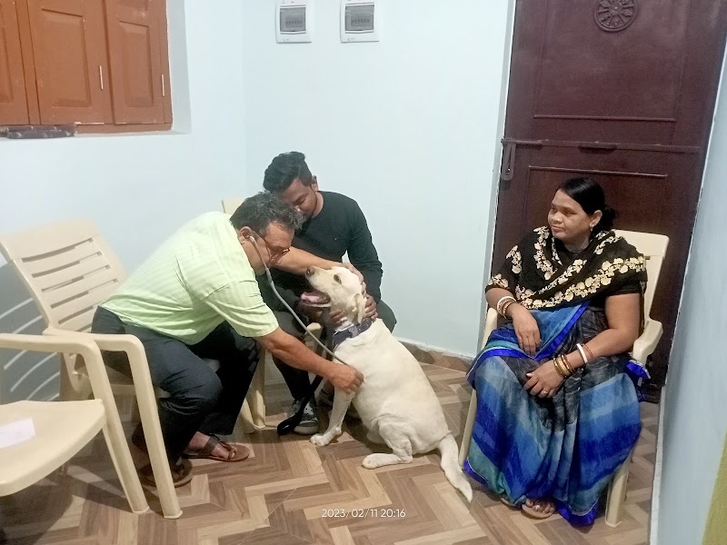SN Pet Clinic - SN Pet Clinic, Ward No. 18, Ambedkar chowk, Sailashree Vihar, Bargarh, Dang, Odisha 768038, India