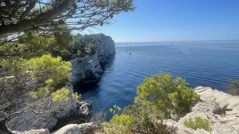 Dalmatia Adventures - Dalmatia Adventures, ul. kralja tvrtka 17, 23211, Pakoštane, Croatia