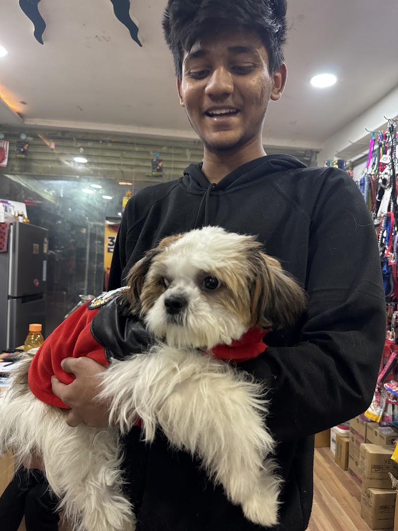 VETCARE PET CLINIC - VETCARE PET CLINIC Vetcare Shop no.110, Chouhan Dream Homes Complex, Nehru Nagar Main Rd, near Hitek Hospital, below SBI bank, Block J, Smriti Nagar, Bhilai, Chhattisgarh 490020, India