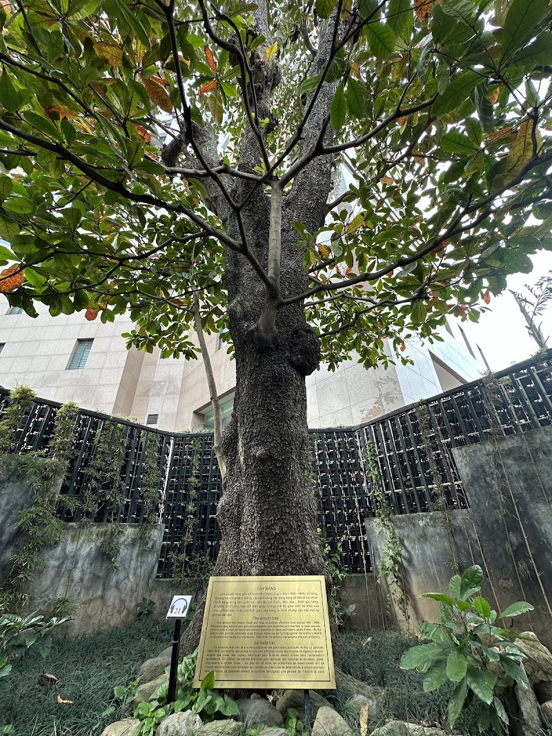 Hoa Lo Prison - Hoa Lo Prison 1 P. Hoả Lò, Trần Hưng Đạo, Hoàn Kiếm, Hà Nội, Vietnam