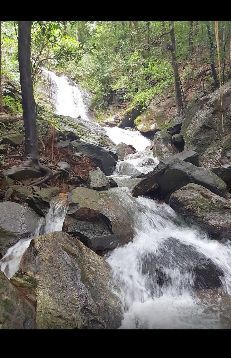 Kuske Waterfall - Kuske Waterfall 26C5+MFM, Cotigao, Goa 403702, India