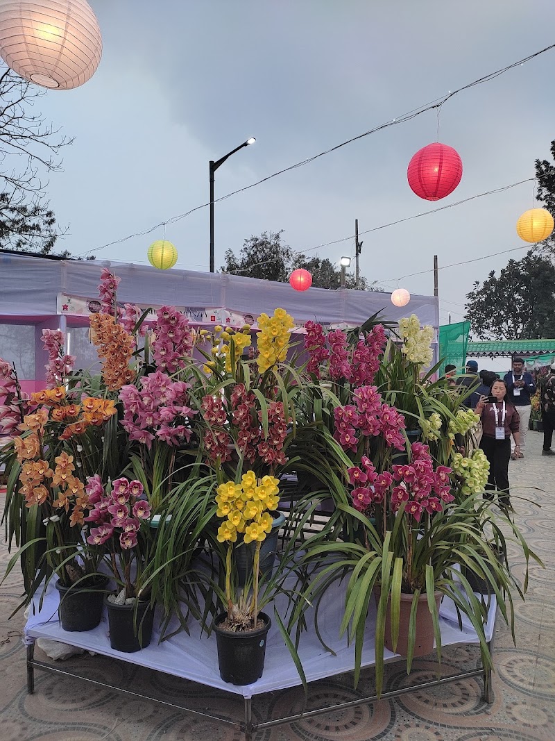 ICAR - National Research Centre for Orchids - ICAR - National Research Centre for Orchids 6HJR+H3V, Dikling Rd, Pakyong, Sikkim 737106, India