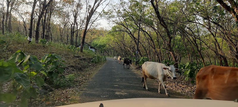 Kodanad - Kodanad Kodanad, Kerala 683544, India