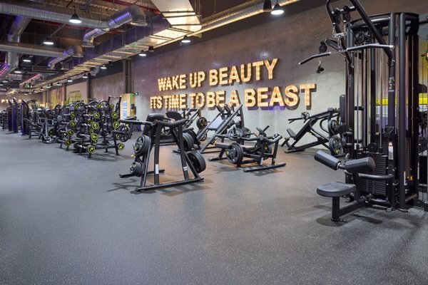 GymNation Sharjah Central Ladies | Best Gym in Sharjah - GymNation Sharjah Central Ladies | Best Gym in Sharjah, 3 - 1 Sheikh Rashid Bin Saqr Al Qasimi St - Samnan - Halwan - Sharjah - United Arab Emirates