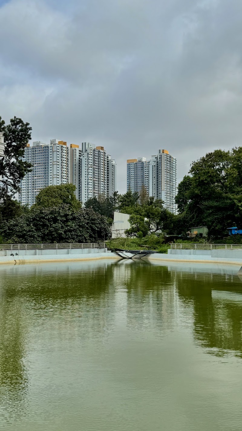 T45 Gold Towers, Amanora Park Town - T45 Gold Towers, Amanora Park Town GWFQ+4PQ, Amanora Park Town, Mundhwa, Pune, Maharashtra 411028, India