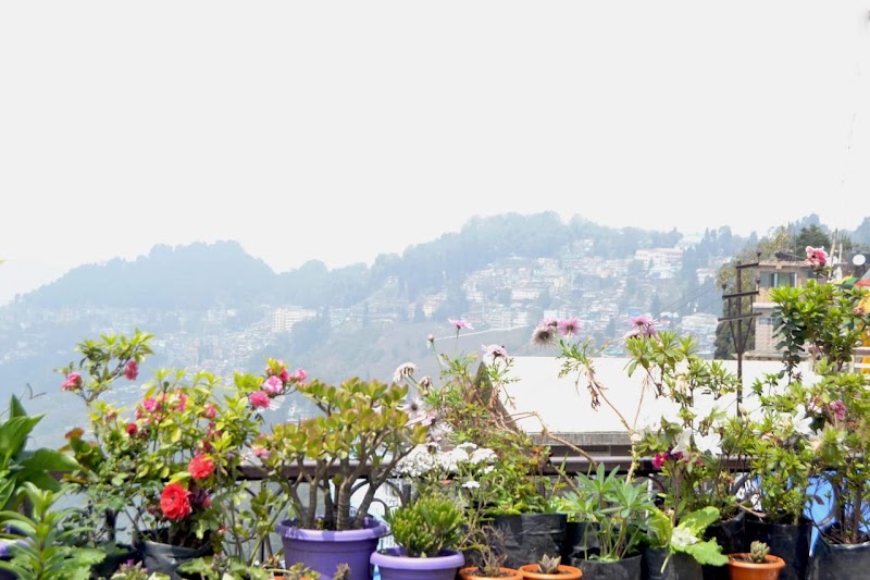 Hill Home - Hill Home Hill Cart Rd, opposite GJMS, Limbugaon, Darjeeling, West Bengal 734101, India