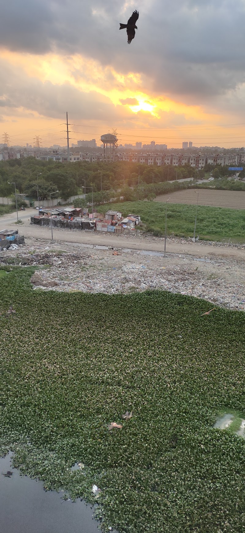 Hindon Eco Park - Hindon Eco Park MC85+2GJ, Islam Nagar, Madhopura, Ghaziabad, Uttar Pradesh 201009, India