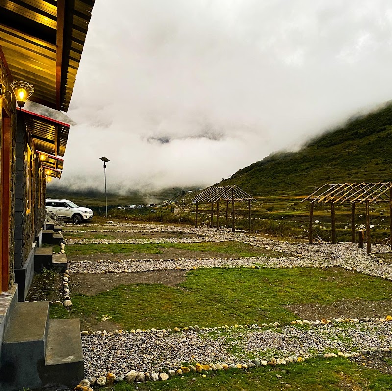 Himalayan Bluesheep: Darma Valley - Himalayan Bluesheep: Darma Valley, Dantu dugtu, Dantu, Uttarakhand 262545, India