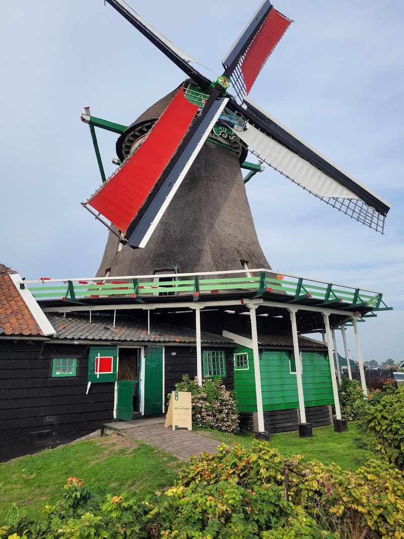 Amsterdam Tulips Tour - Amsterdam Tulips Tour, Oosterdoksstraat 4, 1011 DK Amsterdam, Netherlands