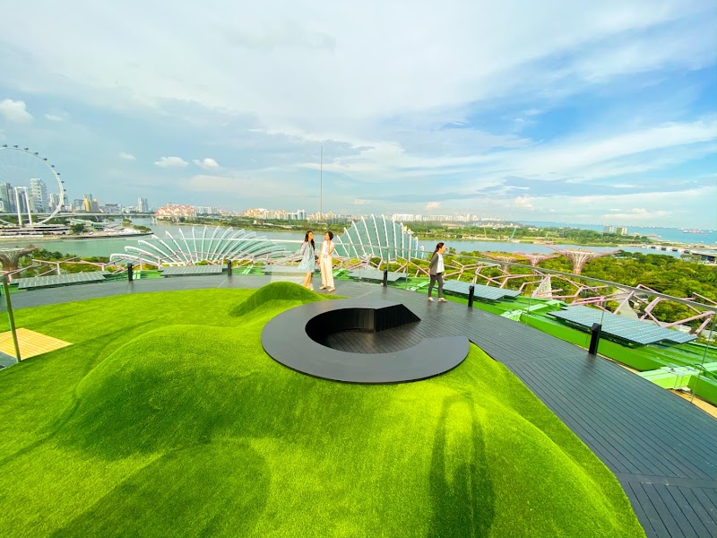 Supertree Observatory