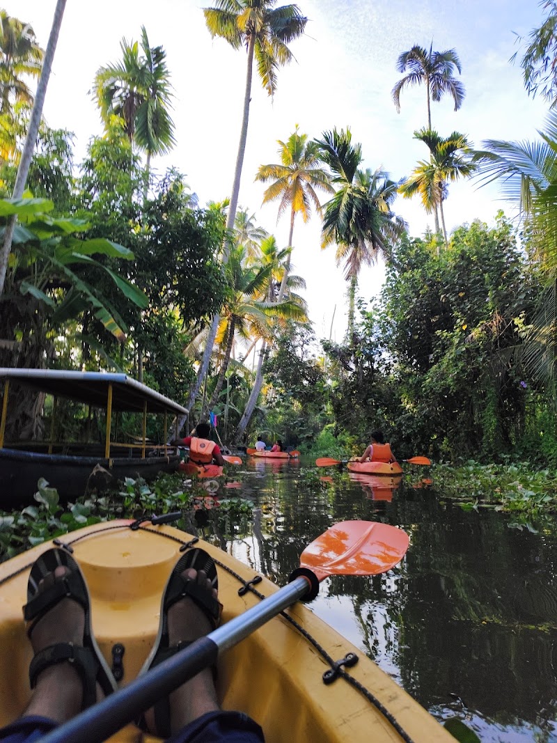 Alleppey Backwaters - Alleppey Backwaters G99J+2PF, Meenappally, Kuttamangalam, Kuppapuram, Kainakary North, Kerala 688011, India