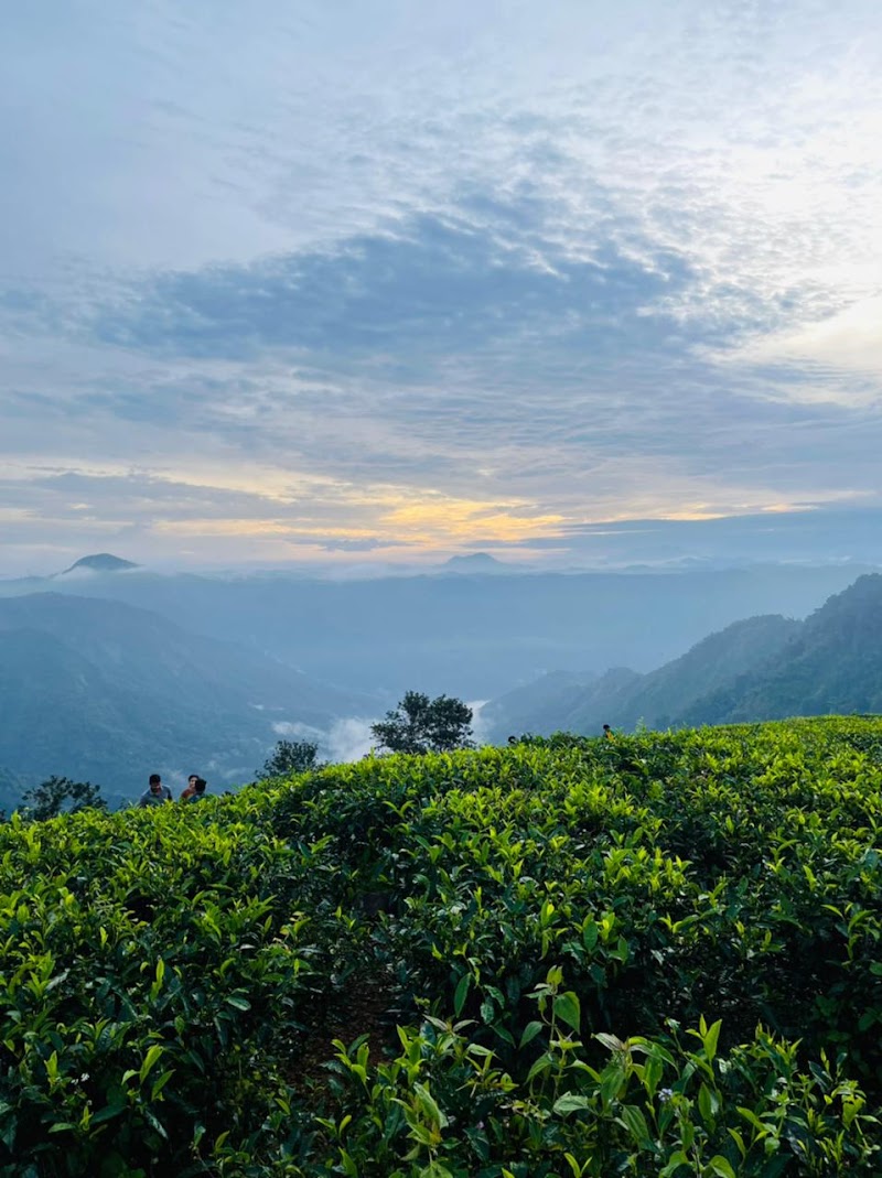 Wayanad resorts - Wayanad resorts Wayanad, Kunnathidavaka, Kerala 673576, India