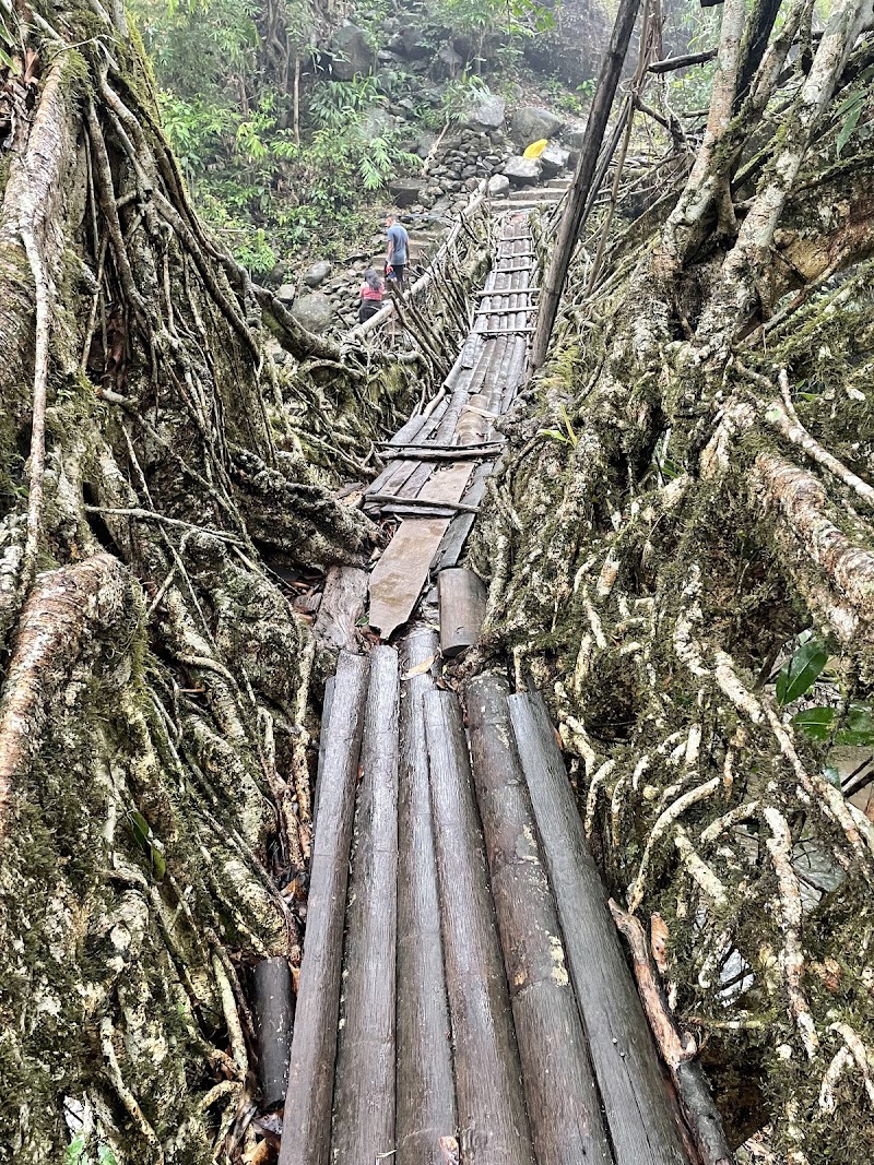 SOHKHA MISSION LIVING ROOT BRIDGE