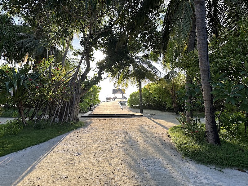Sand Bank, Kuramathi Island, Maldives - Sand Bank, Kuramathi Island, Maldives, Kuramathi island, Maldives