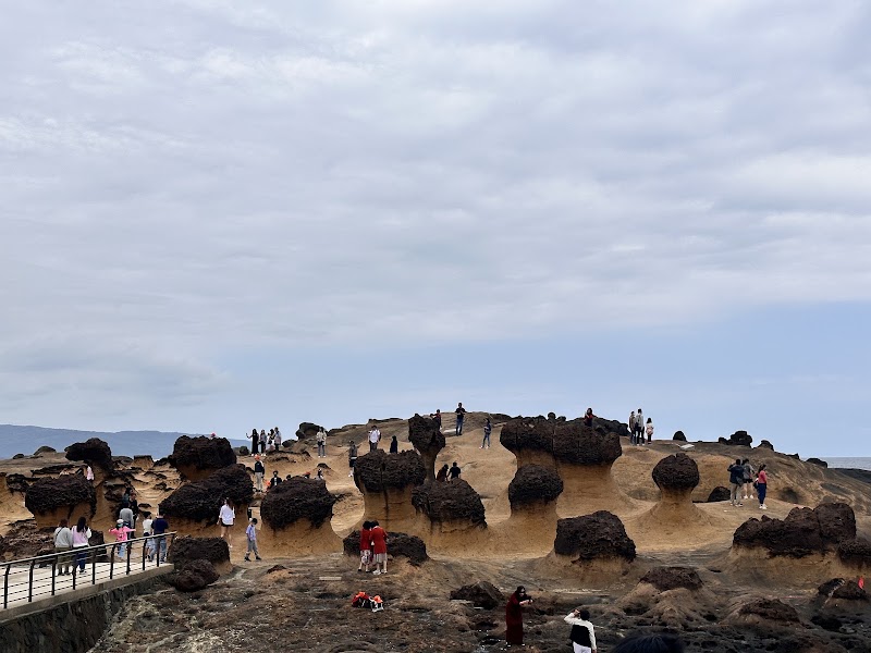 Yeliu Geology Park - Yeliu Geology Park, Wanli District, New Taipei City, Taiwan 207