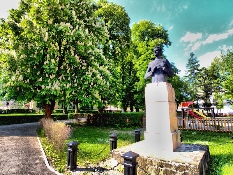 Bust of Ciprian Porumbescu - Bust of Ciprian Porumbescu, Granite-Schei, Brașov, Romania